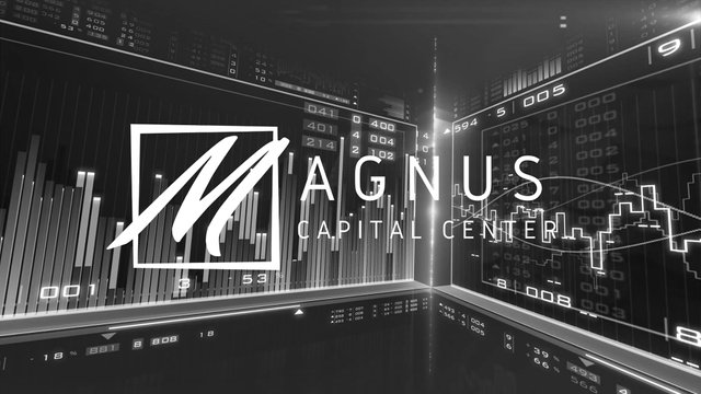 Magnus capital center