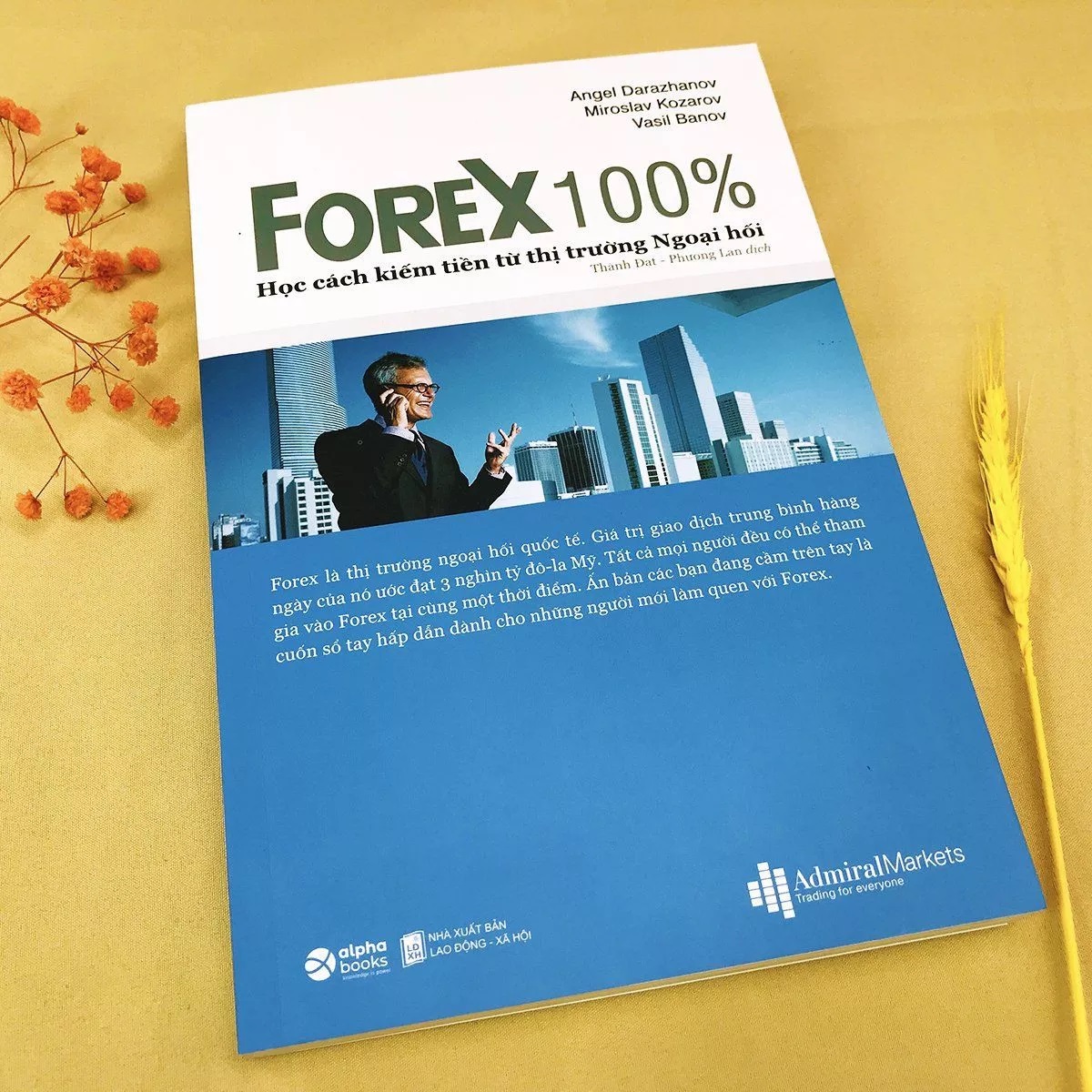 Sách đầu tư tài chính - Bức tranh tổng thể về phương pháp giao dịch Forex