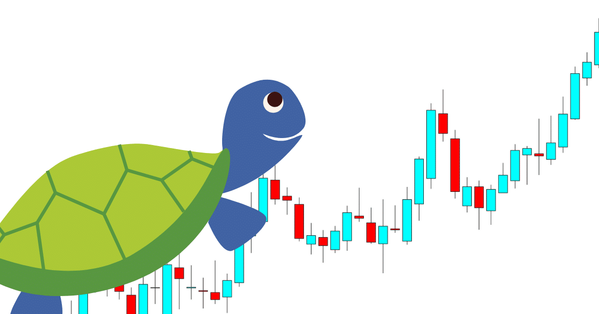 Turtle Traders - Những chú "rùa" trader đã kiếm hàng trăm triệu USD nhờ Richard Dennis