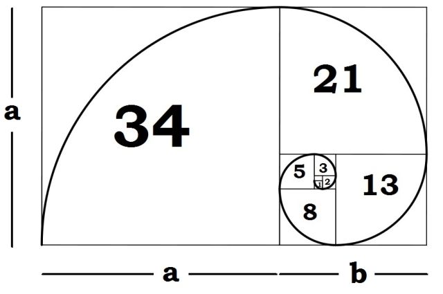 Ứng dụng dãy fibonacci trong forex, chứng khoán