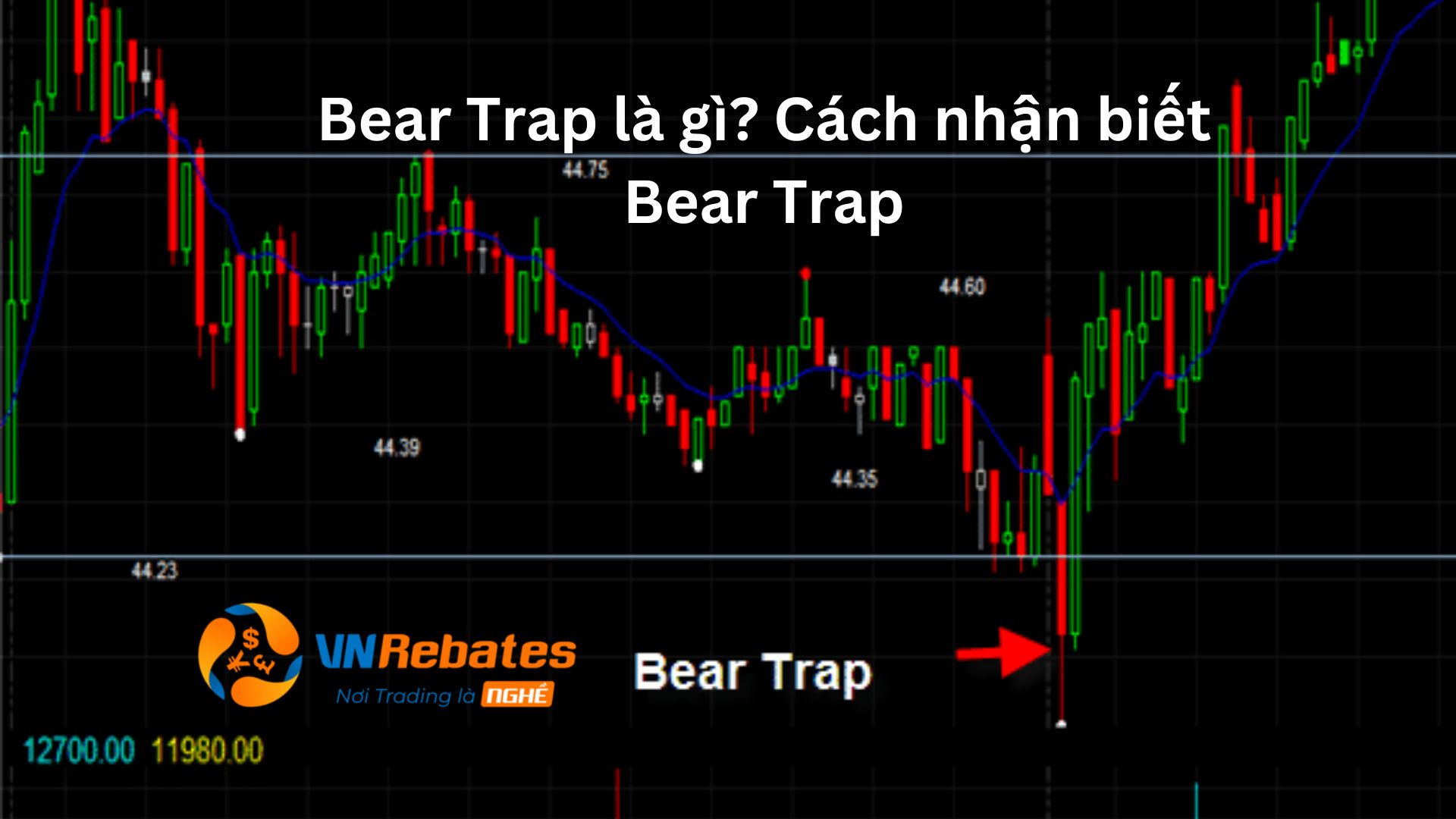 Bear Trap là gì? Cách nhận biết bẫy Bear Trap
