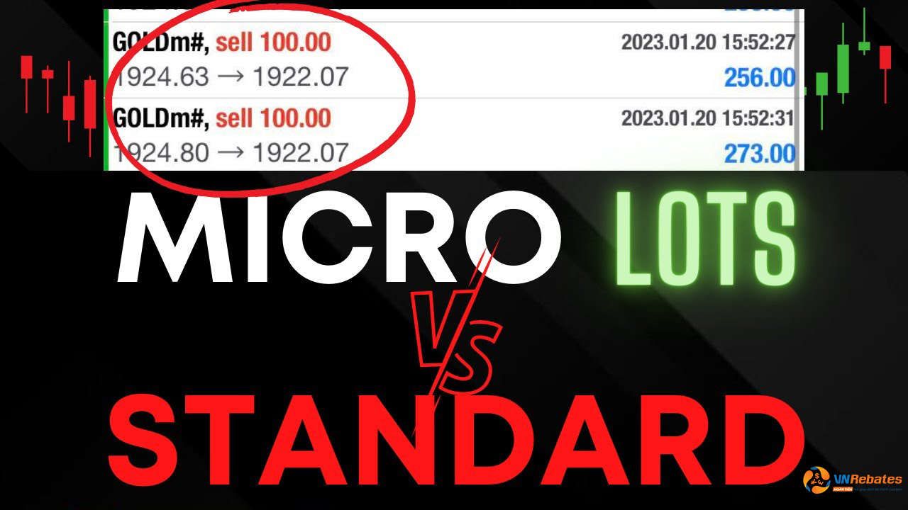 Tài khoản Standard và Micro có rất nhiều điểm tương đồng